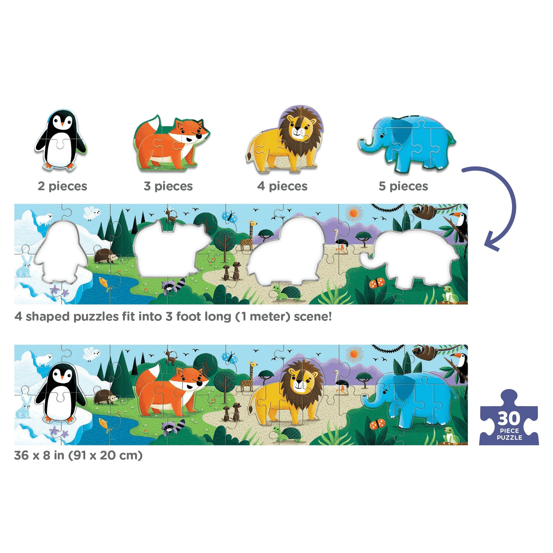 animals of the world2